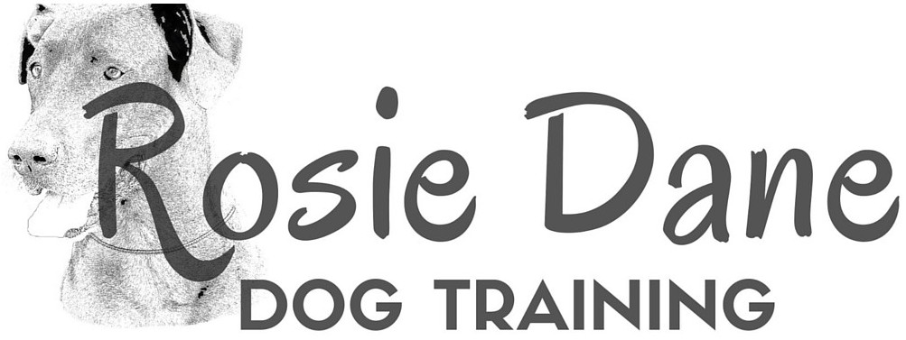 Rosie Dane Dog Training